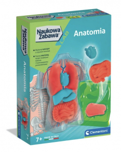 ANATOMIA
