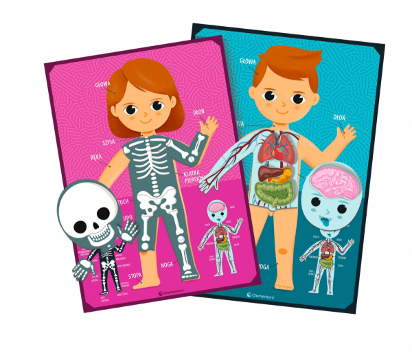 Anatomia dla malucha Anatomia dla malucha